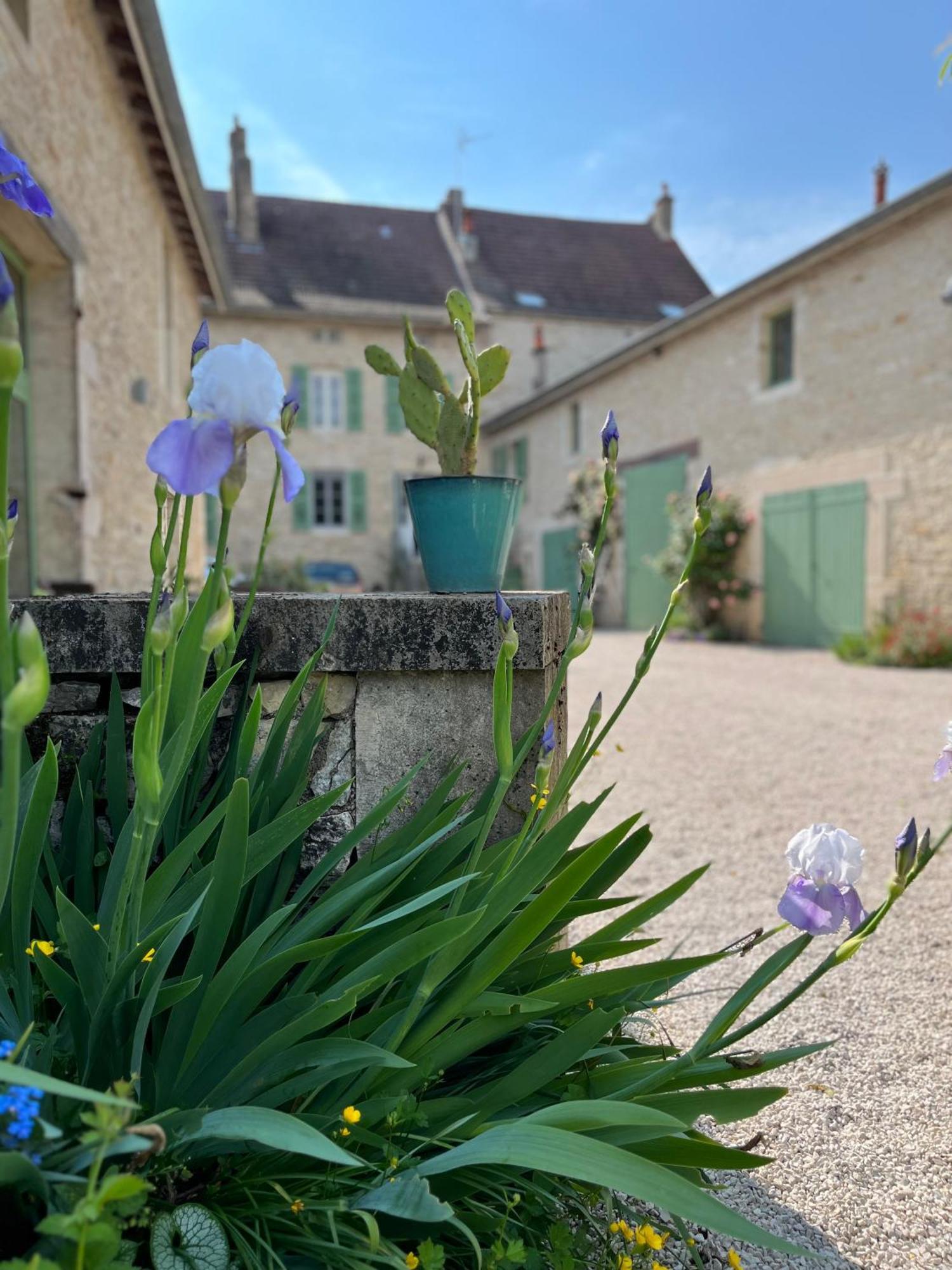 Maison Tassigny Meursault Exterior foto